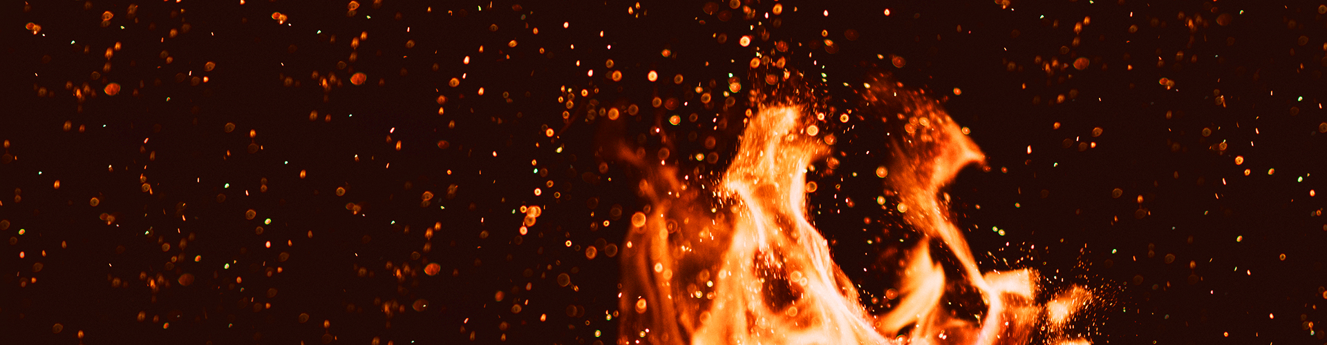 Огонь жизни