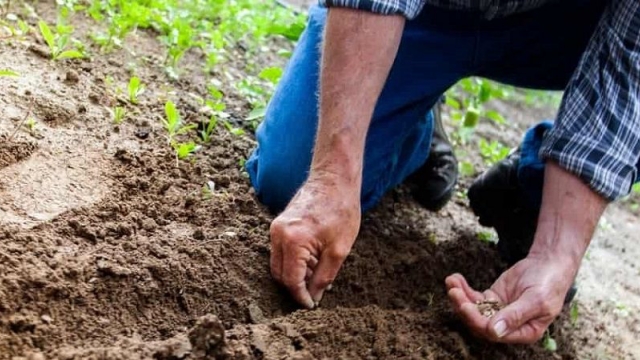 Важный аспект взаимоотношений с Богом