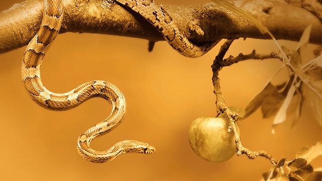 Как одержать верх над искушением