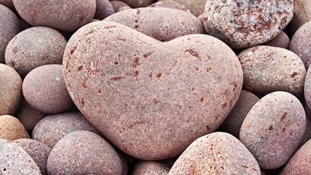 Наблюдайте за своим сердцем!