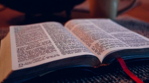 Планы чтения Библии