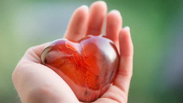 Непрощение разрушает Вас изнутри – обретите свободу!