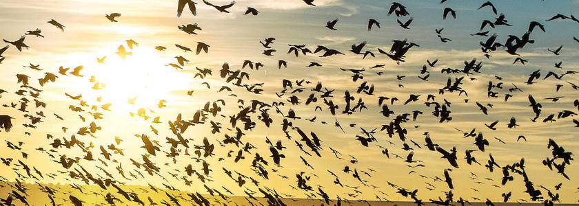 Почему мы подвергаемся атакам