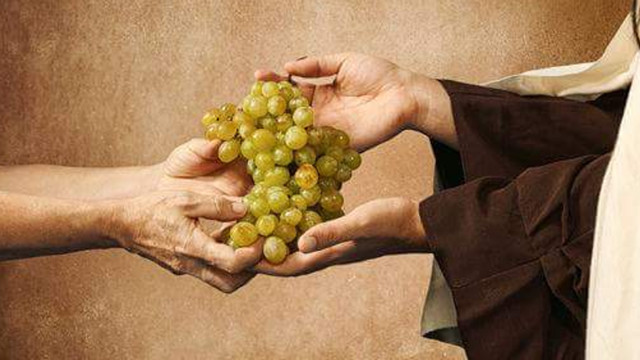 2018. Это наша общая большая победа!