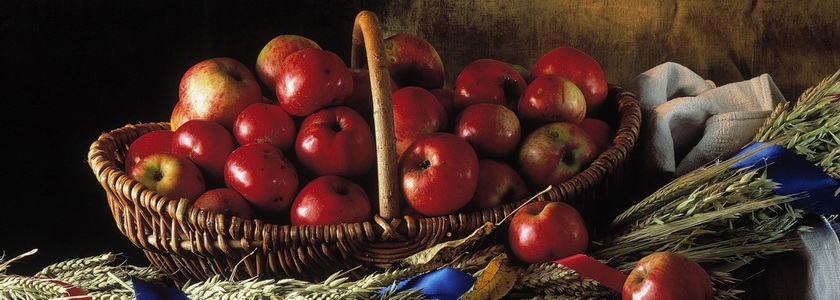 Как приносить больше плода?