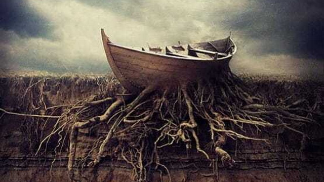 Атаки на тело, разум и здоровье: смотрим в корень