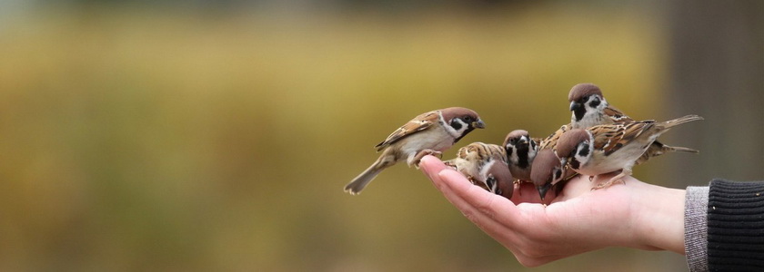 Этот библейский стих полностью изменил мою жизнь