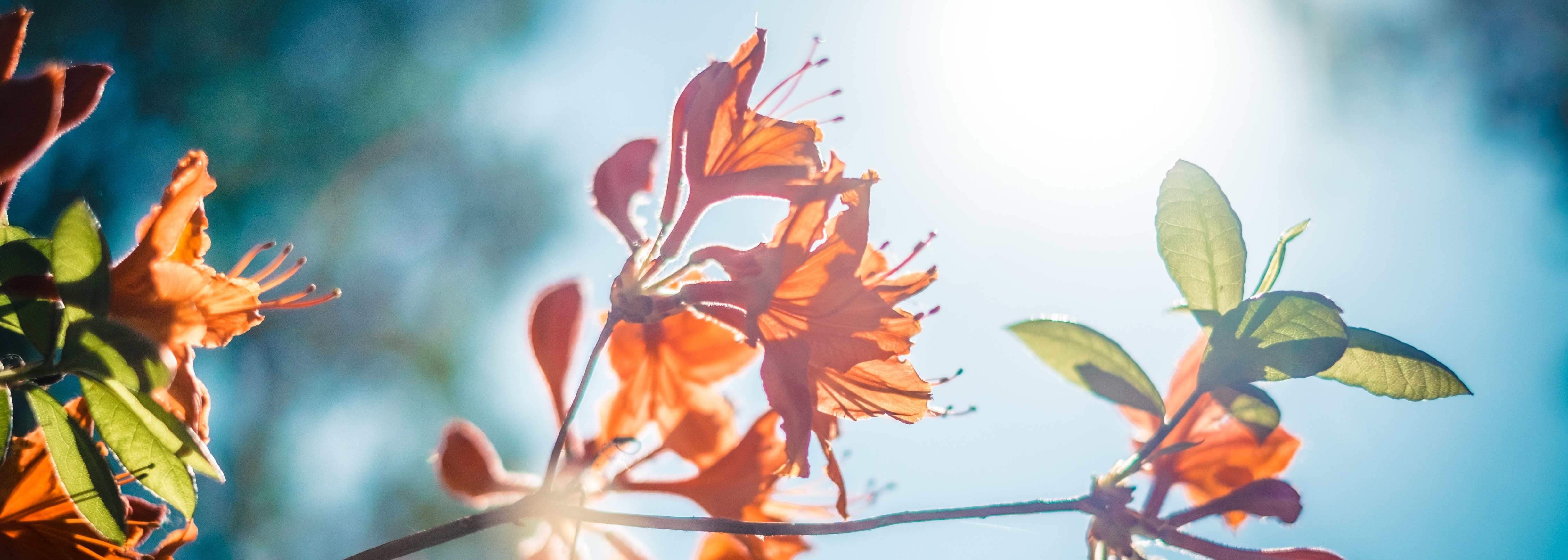 Помните, как благ Господь к вам!