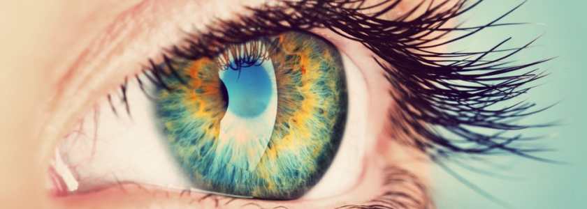 Что ты видишь перед собой?