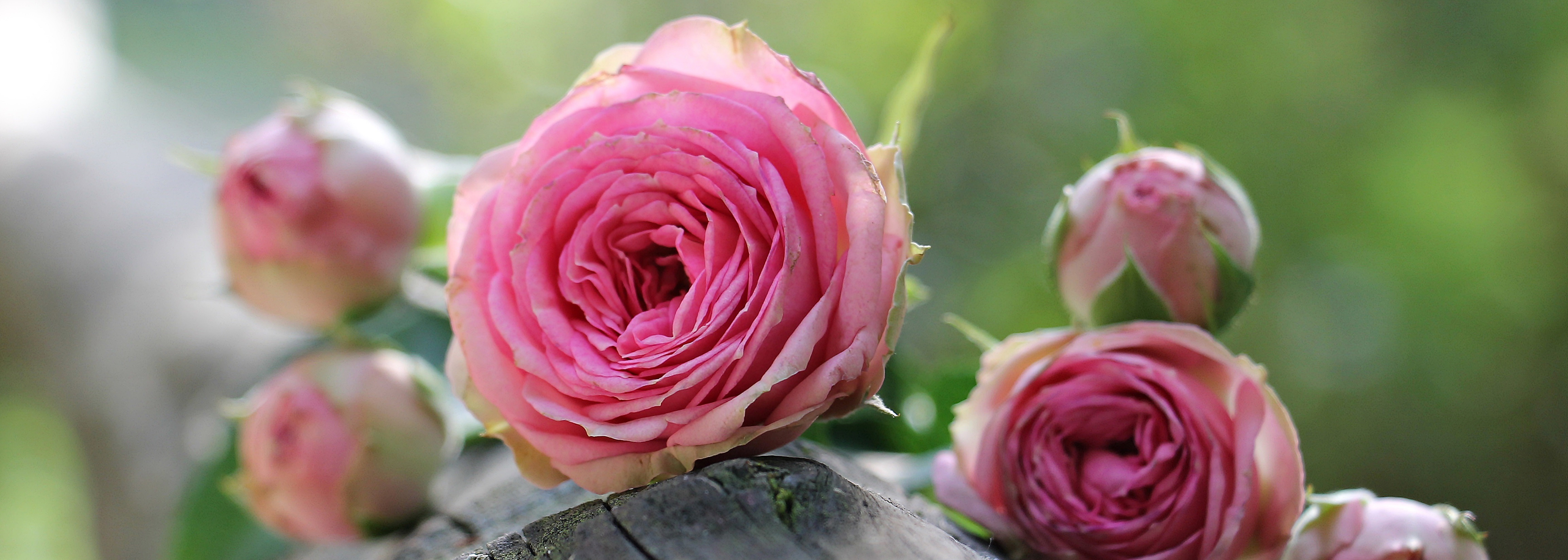 Вера, надежда, любовь