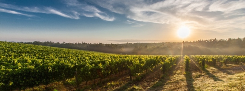 Деньги, богатство и правильное отношение к деньгам