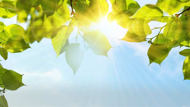 Прими силу Божью