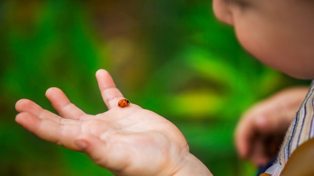 Насколько вы ценны в глазах Бога
