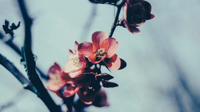 Ожидайте и будьте уверены —  Бог ответит!