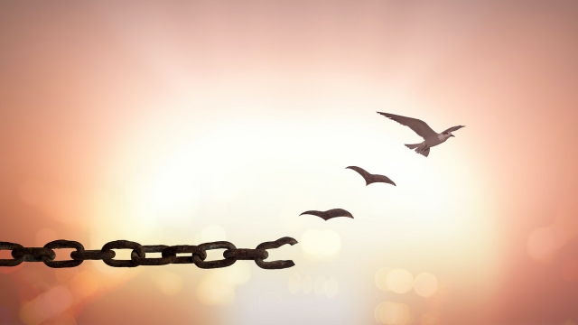 Как простить горькую обиду?