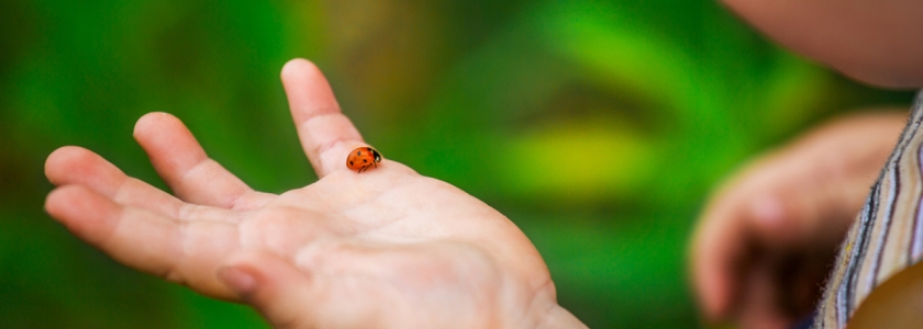 Насколько вы ценны в глазах Бога