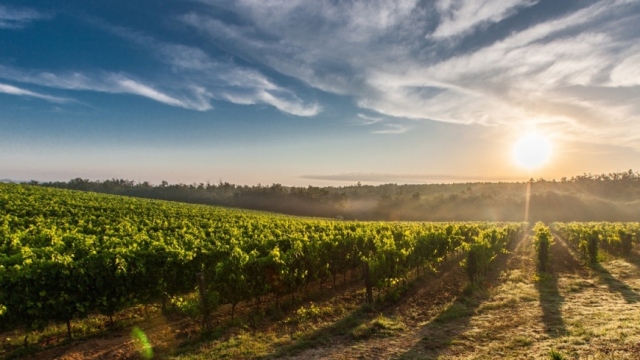 Деньги, богатство и правильное отношение к деньгам