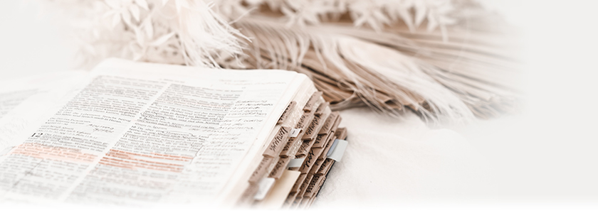 Как не забыть о самом важном в жизни