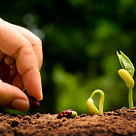 Пожертвование