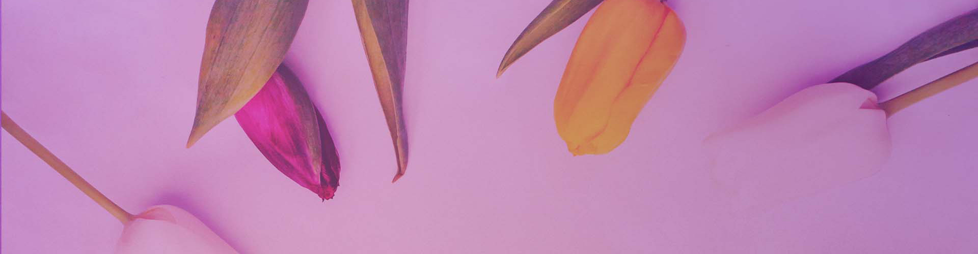 Время с Дэнис Реннер