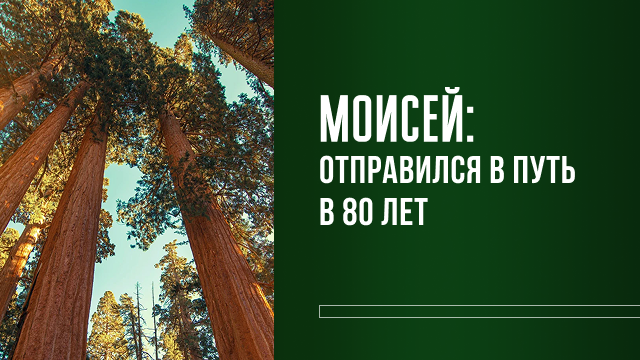 Измени свой мир