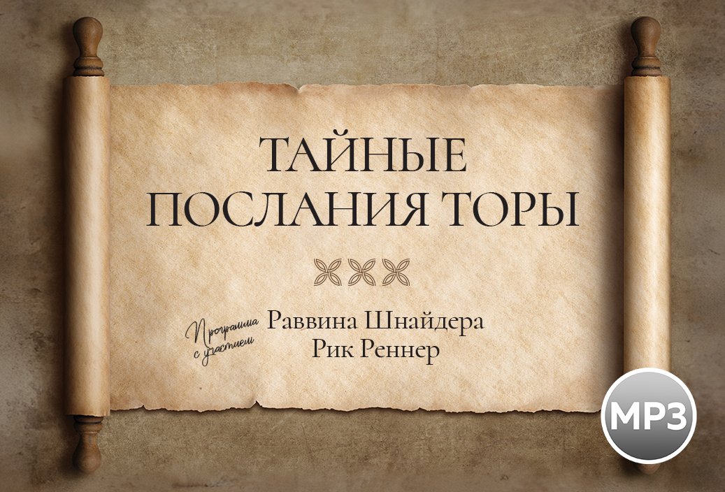 Аудио-версия программы