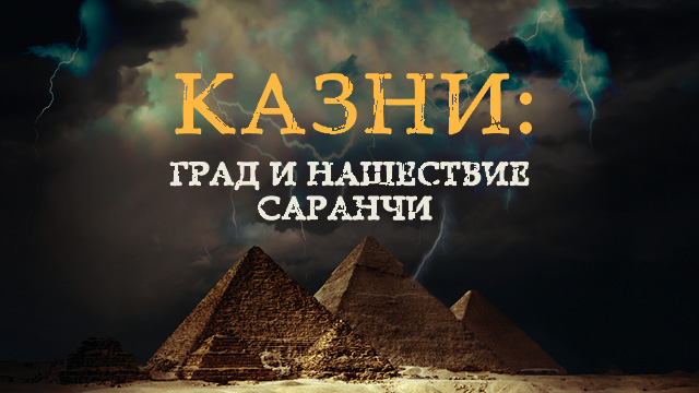 Казни: град и нашествие саранчи