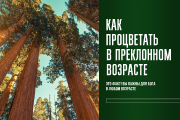 Как процветать в преклонном возрасте. ИСМ