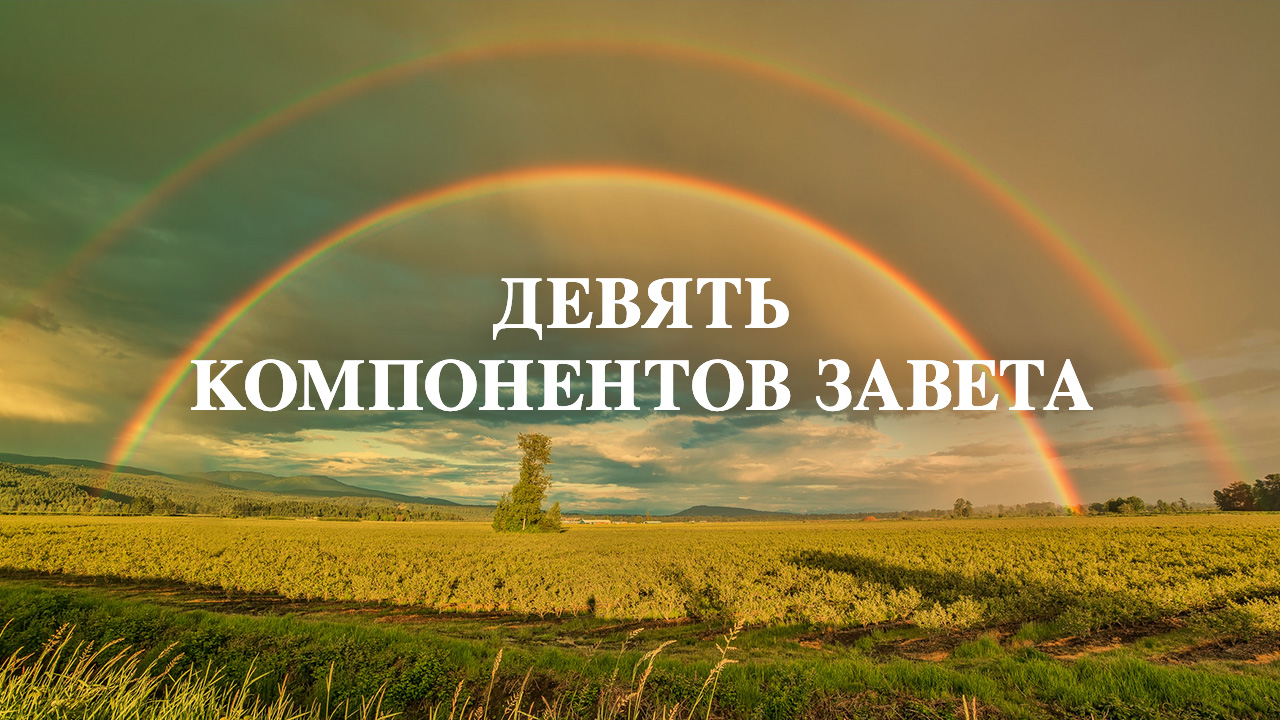 Девять компонентов завета