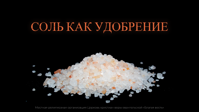 Измени свой мир