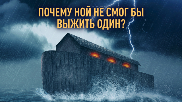 Почему Ной не смог бы выжить один?