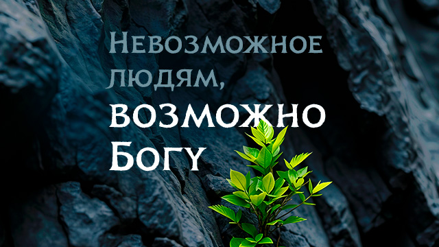 Июнь 2026. Обои для телефона