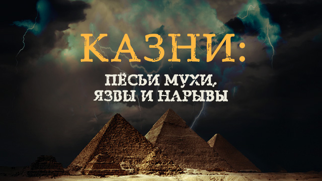 Казни: пёсьи мухи, язвы и нарывы