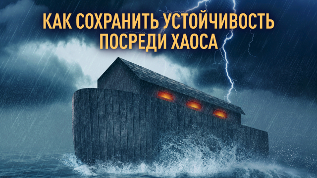Как сохранить устойчивость посреди хаоса