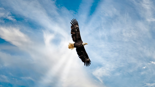 Когда вы на пороге самого лучшего времени 
