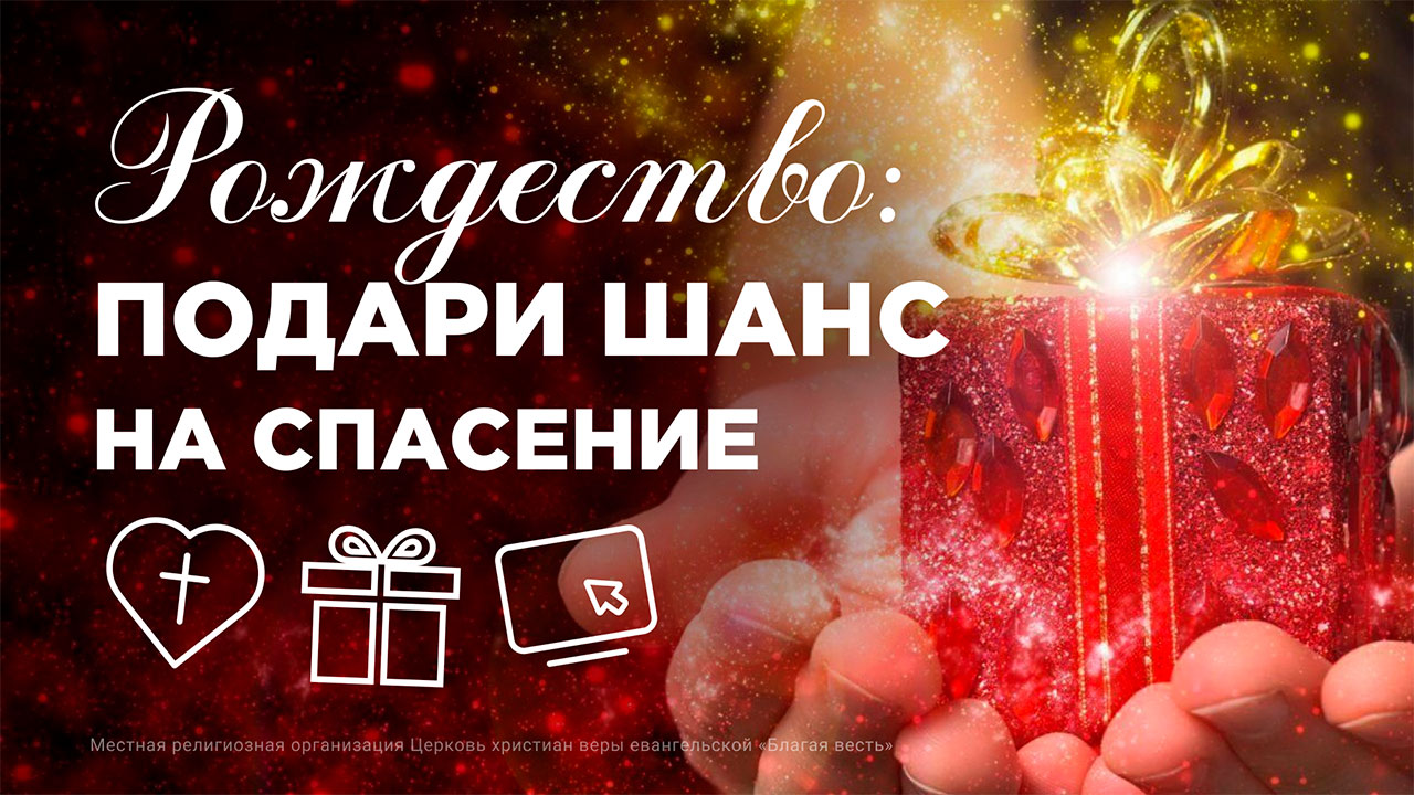 Рождество: подари шанс на&nbsp;спасение