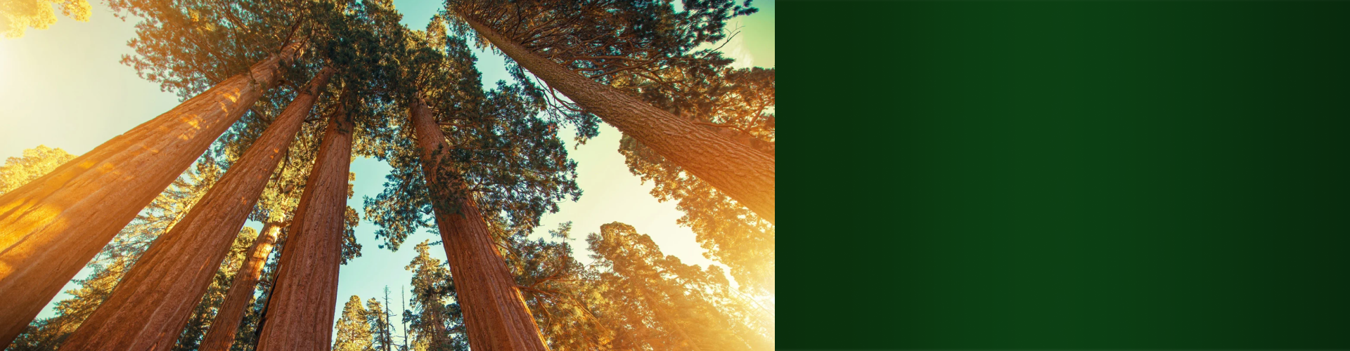 Как процветать в преклонном возрасте