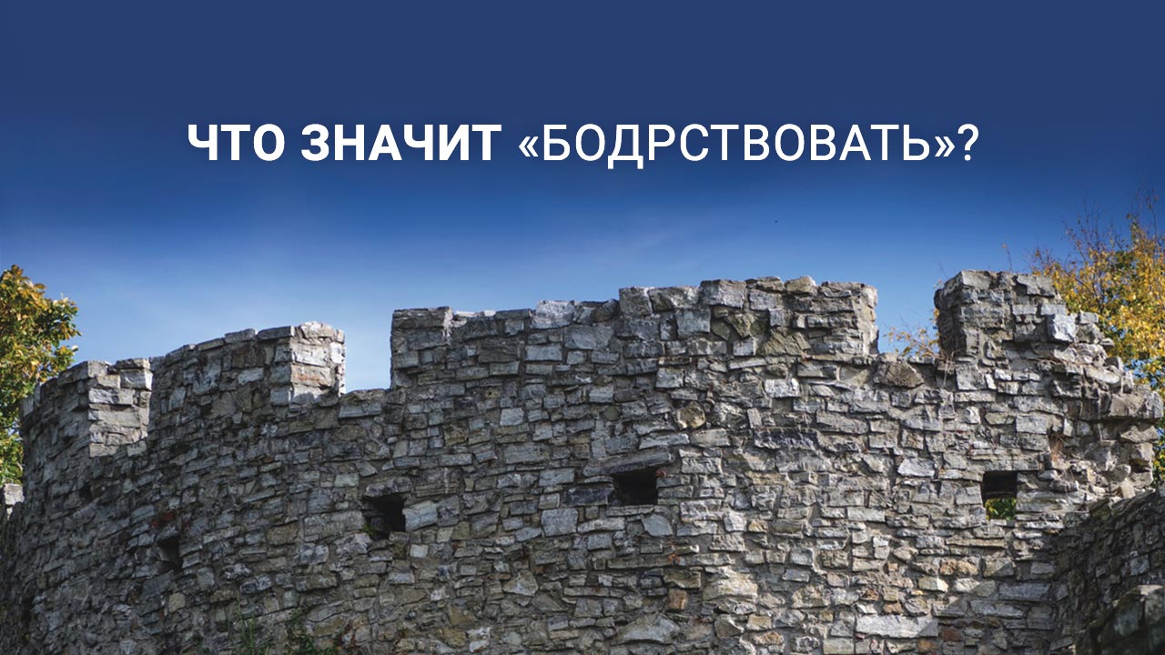 Что значит «бодрствовать»?