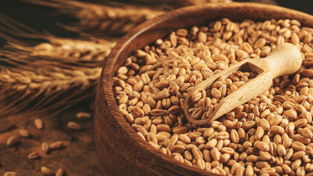 Сила свидетельства