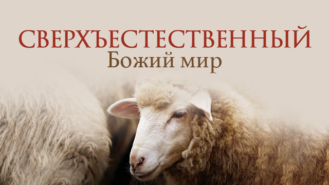 Сверхъестественный Божий мир