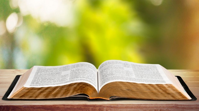 Хронологический план чтения Библии