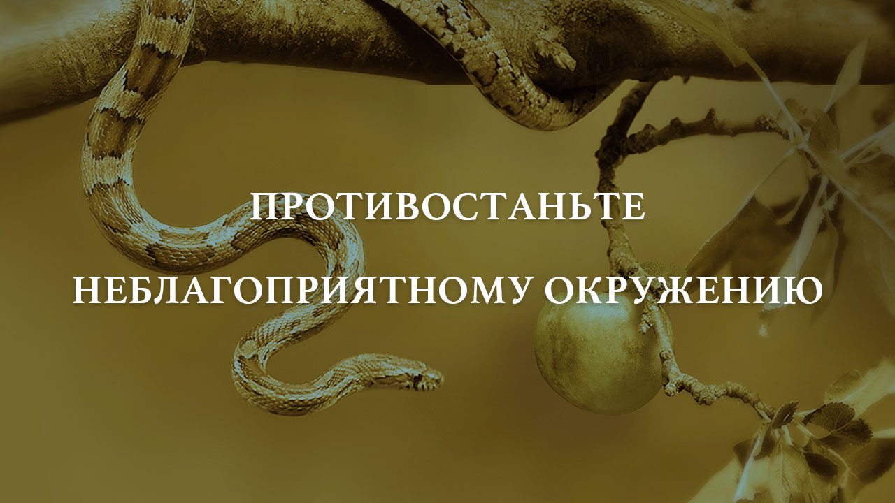 Противостаньте неблагоприятному окружению